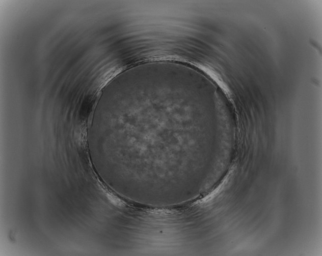 X0000091710897200708311113