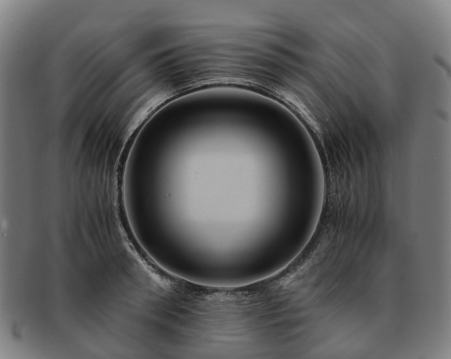 X0000091710898200708311113