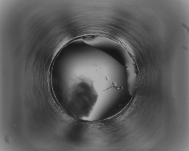 X0000091710899200708311113