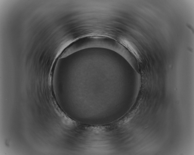 X0000091710900200708311113