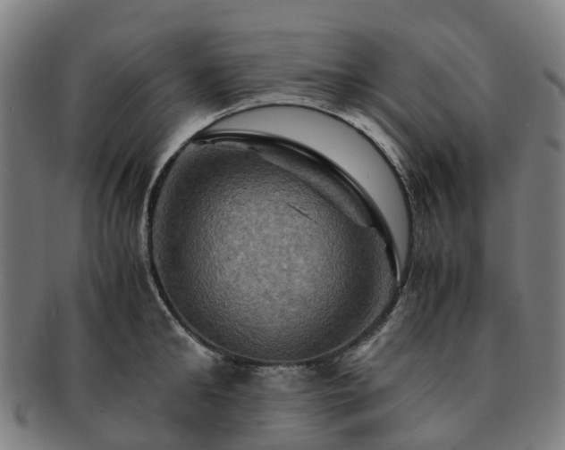 X0000091710902200708311113