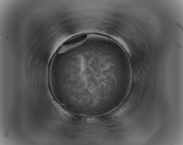 X0000091710903200708311113