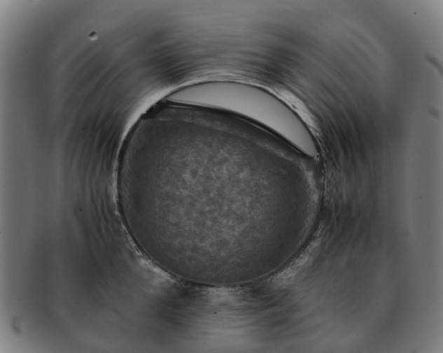 X0000091710904200708311113