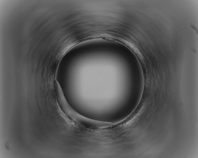 X0000091710905200708311113