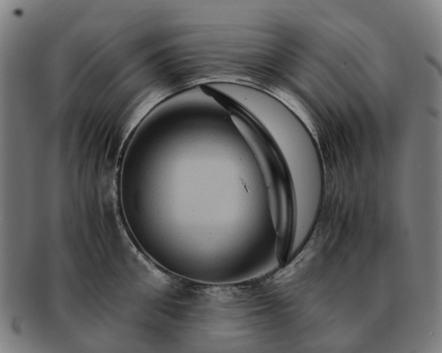 X0000091710906200708311113