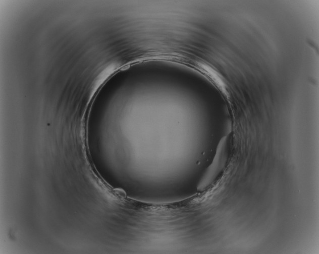 X0000091710907200708311113