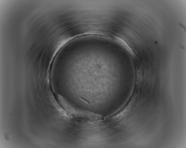 X0000091710908200708311113