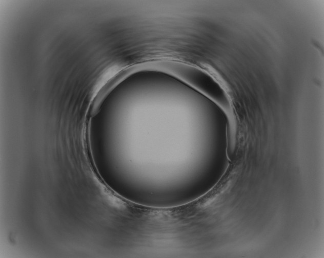 X0000091710909200708311113