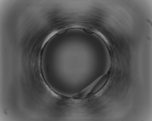 X0000091710910200708311113