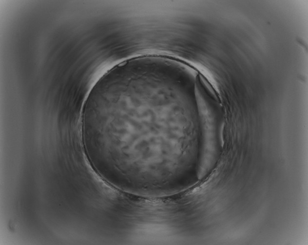 X0000091710911200708311113