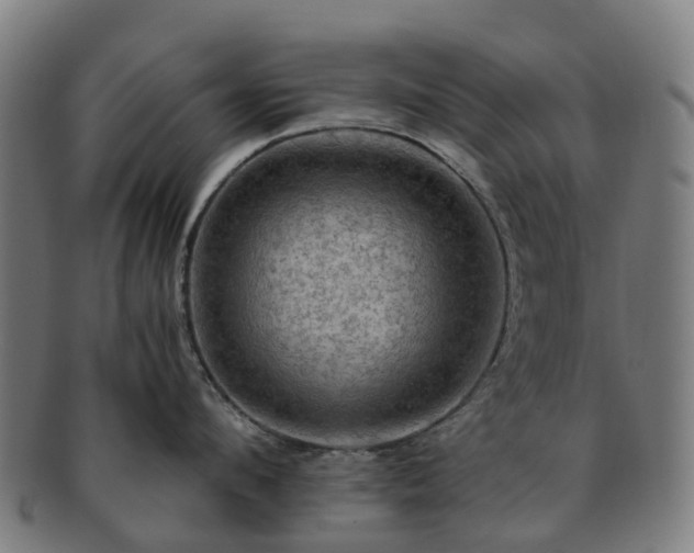 X0000091710912200708311113