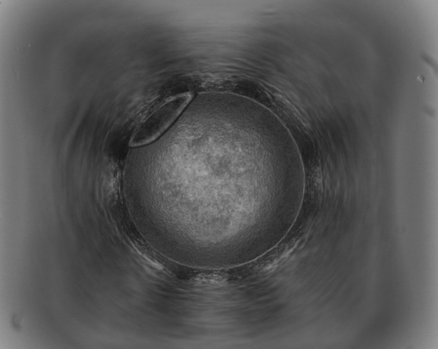 X0000091710914200708311112