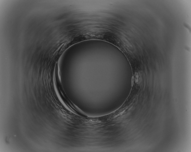 X0000091710915200708311112