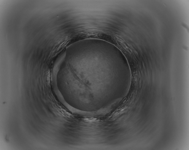 X0000091710916200708311112