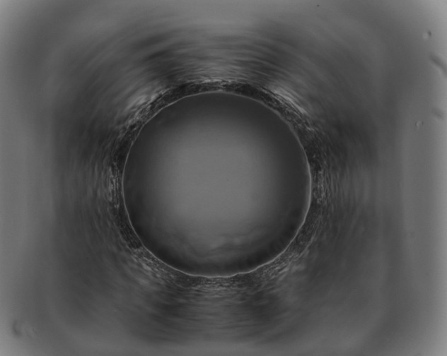 X0000091710917200708311112