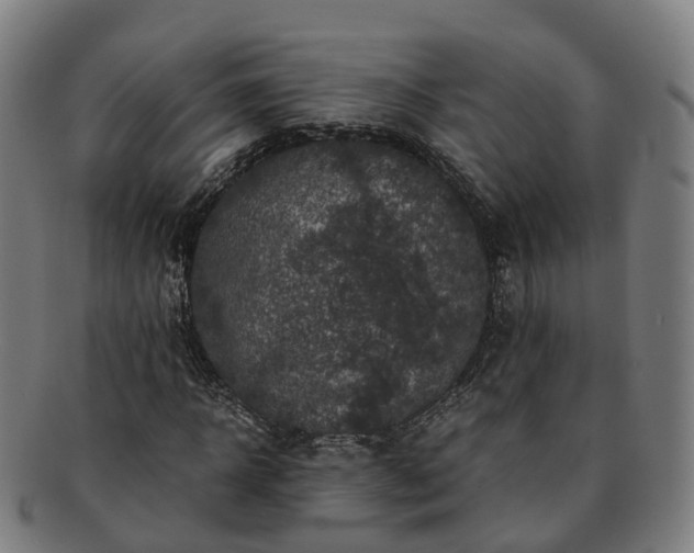 X0000091710918200708311112