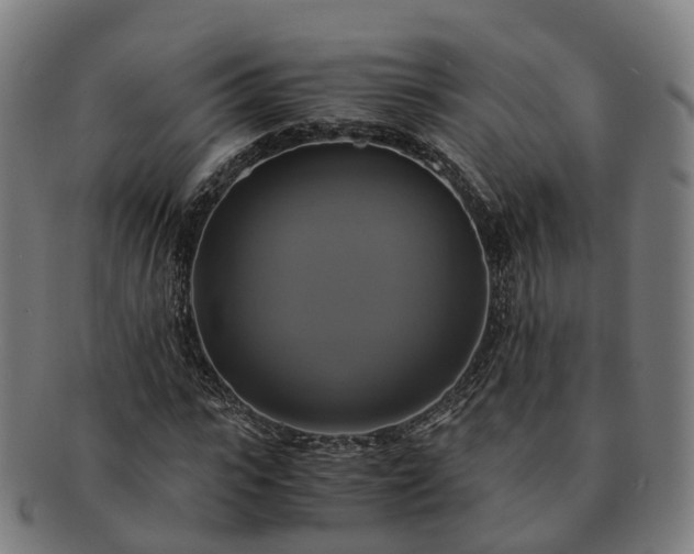 X0000091710919200708311112