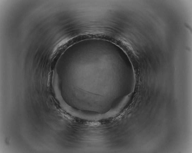 X0000091710920200708311112