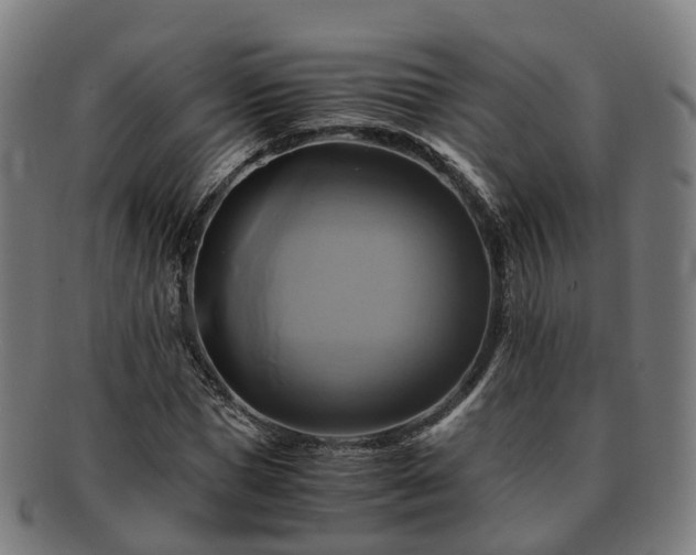 X0000091710921200708311112