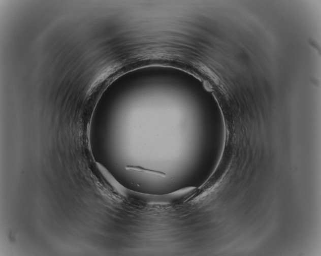 X0000091710922200708311112