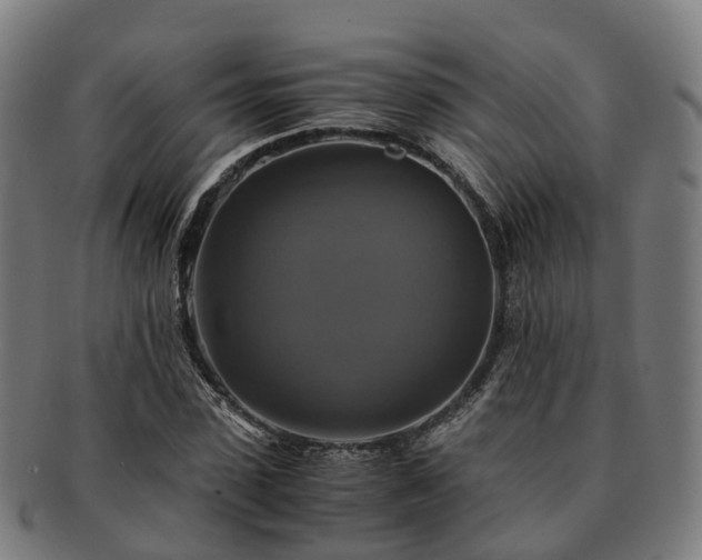 X0000091710923200708311112