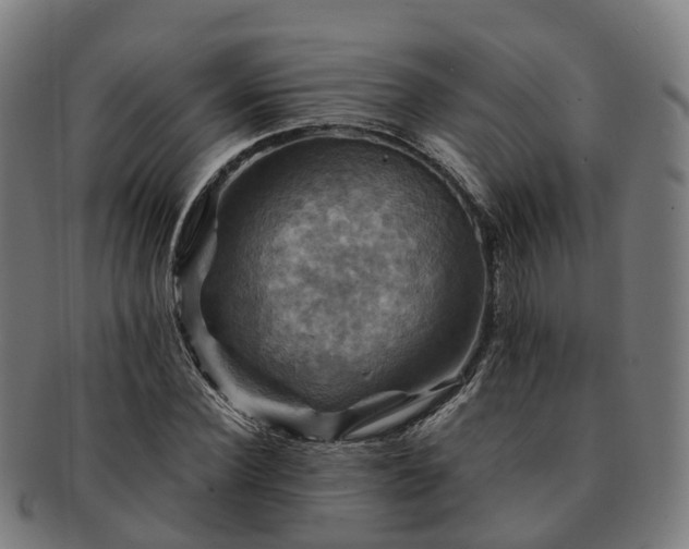 X0000091710924200708311112