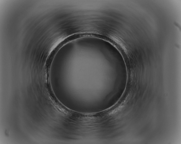 X0000091710925200708311112