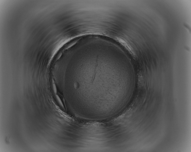 X0000091710926200708311113