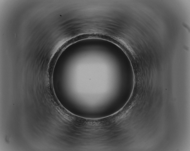 X0000091710927200708311113