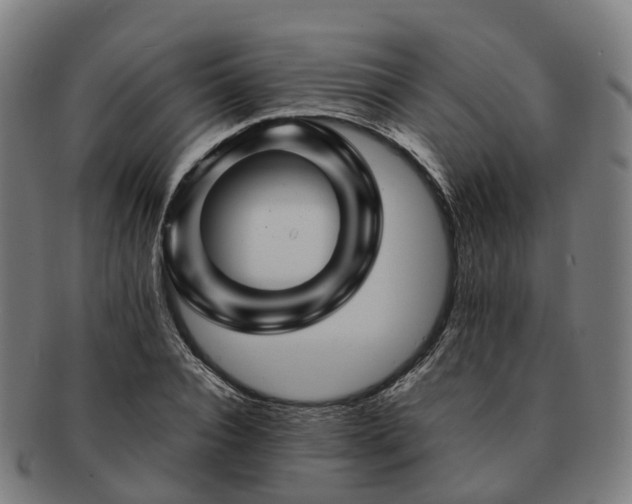 X0000091710928200708311113