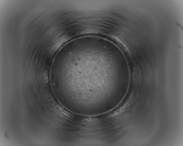 X0000091710929200708311113