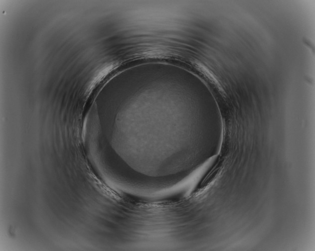 X0000091710930200708311113