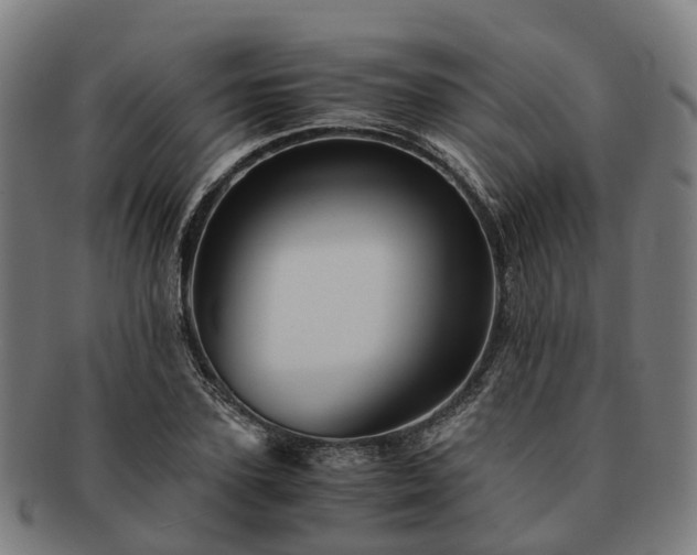 X0000091710931200708311113