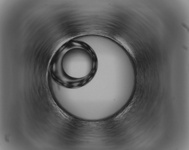 X0000091710932200708311113