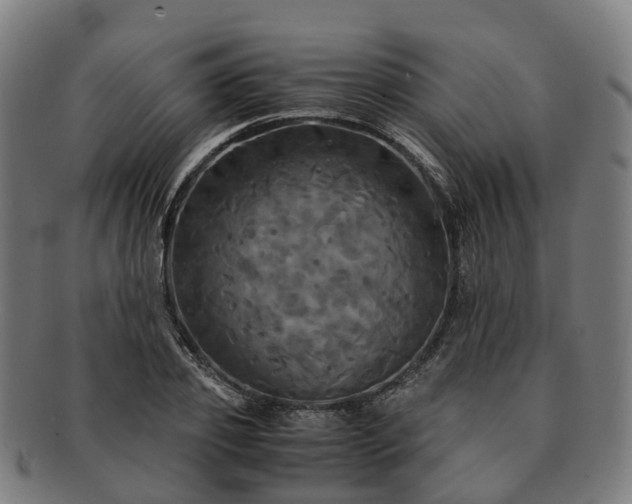 X0000091710933200708311113