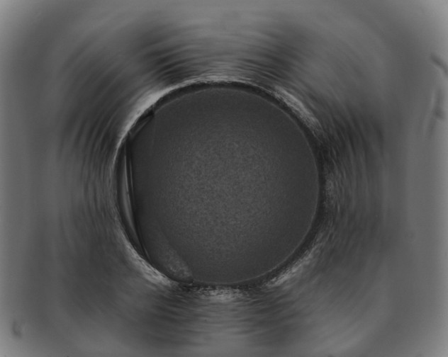 X0000091710934200708311113