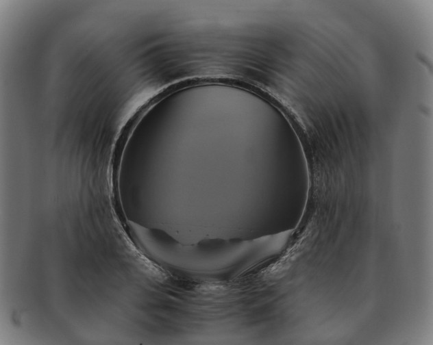 X0000091710935200708311113