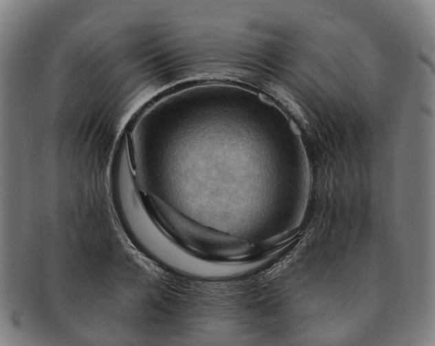 X0000091710936200708311113