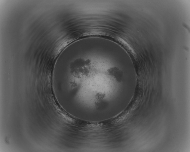 X0000091710937200708311113