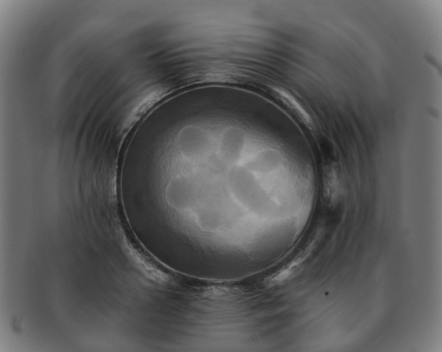 X0000091710938200708311113