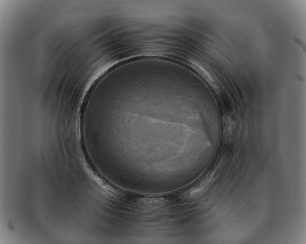 X0000091710939200708311113