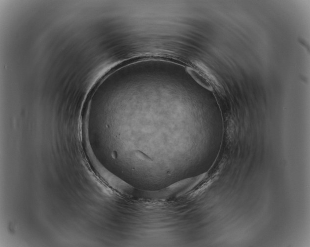 X0000091710940200708311113