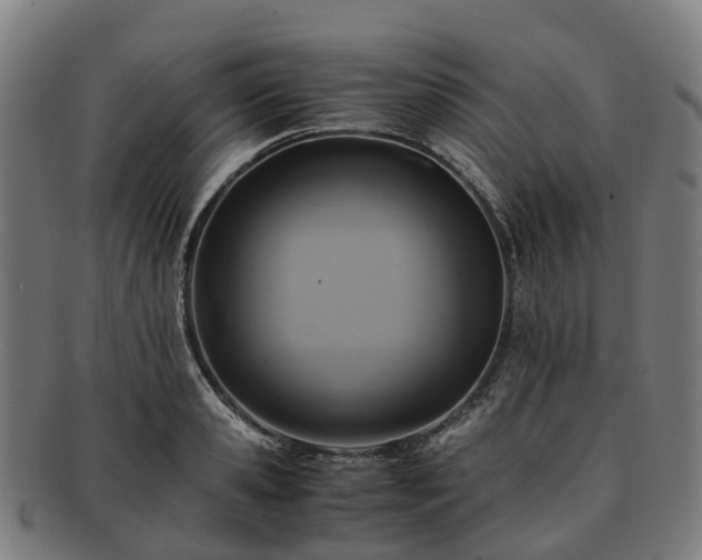 X0000091710941200708311113