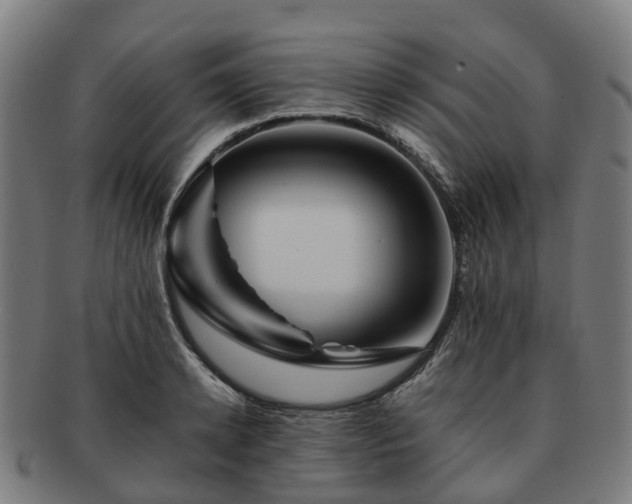 X0000091710942200708311113