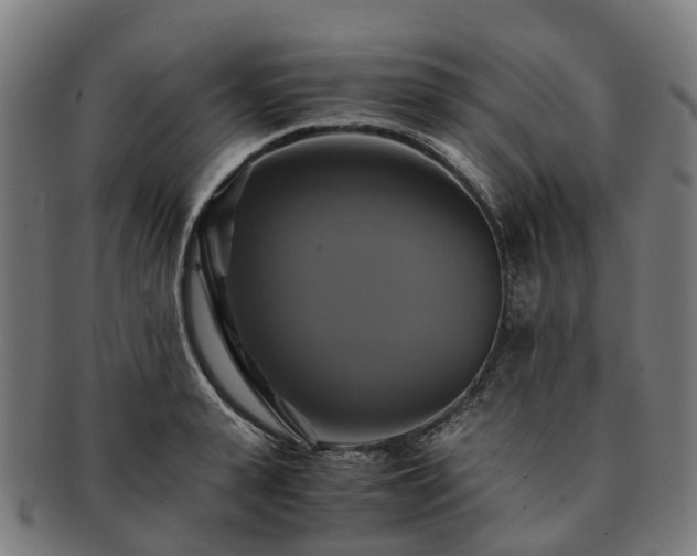 X0000091710943200708311113