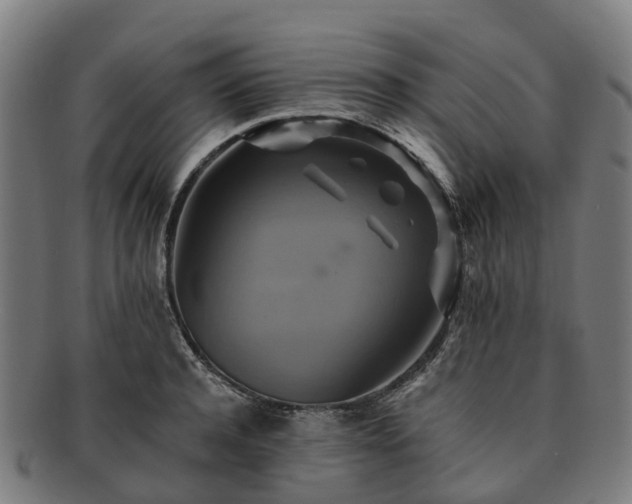 X0000091710944200708311113