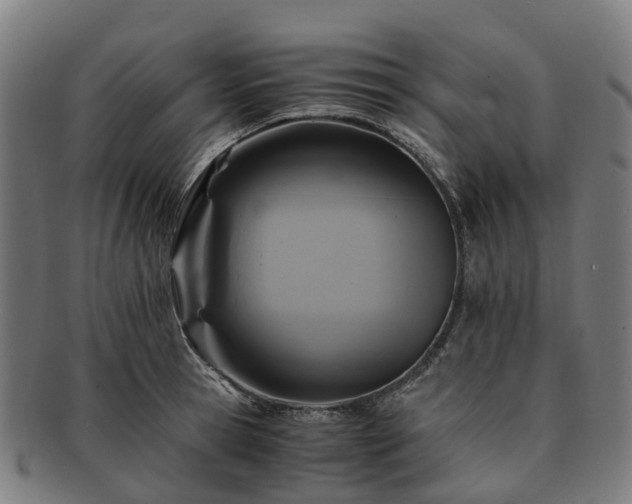 X0000091710945200708311113