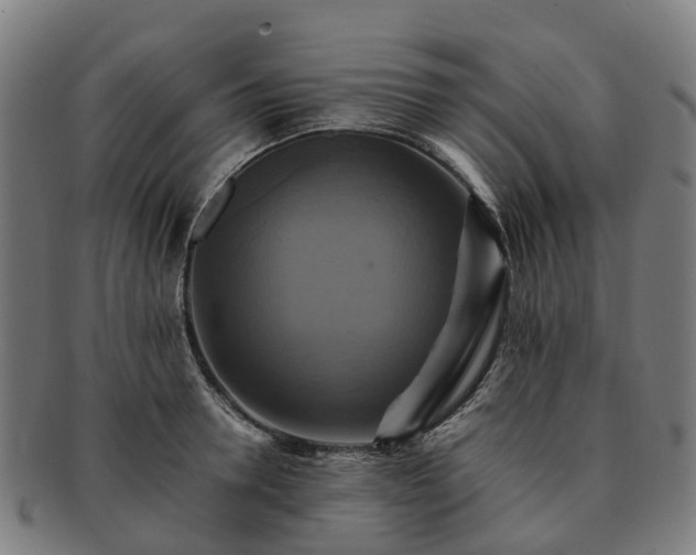 X0000091710946200708311113