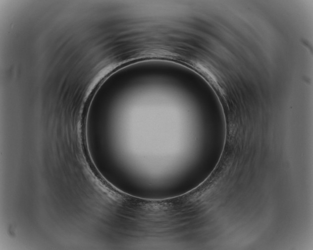 X0000091710947200708311113