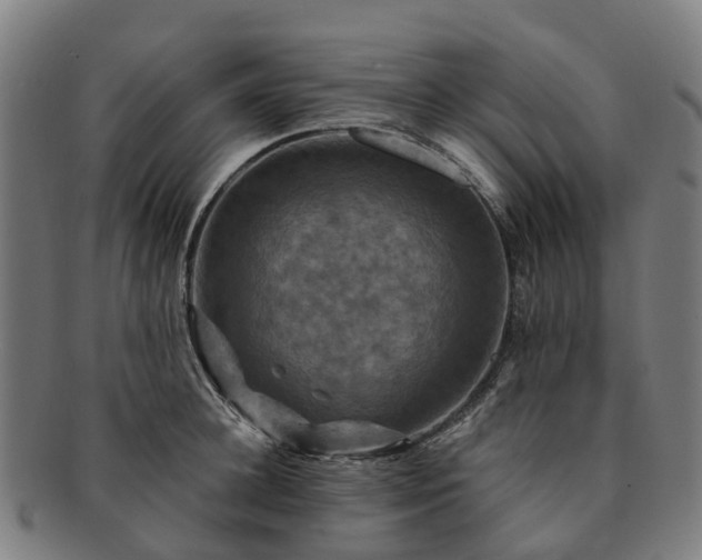 X0000091710948200708311113